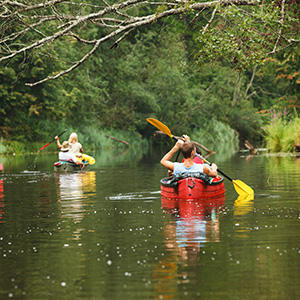 Activité nature sur les rivières de la Dordogne