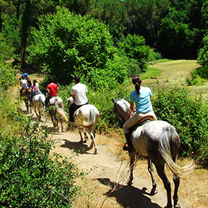 Balade équestre pour enfants en Dordogne