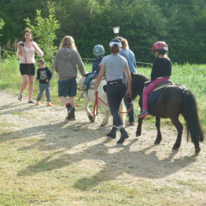 Promenade à cheval un jour ensoleillé