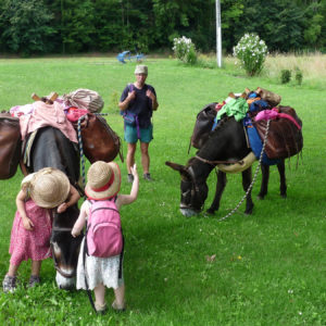 Les animaux de la campagne au camping