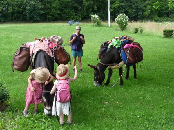 Les animaux de la campagne au camping