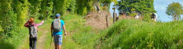 Randonnées dans la nature en Dordogne à proximité du Camping