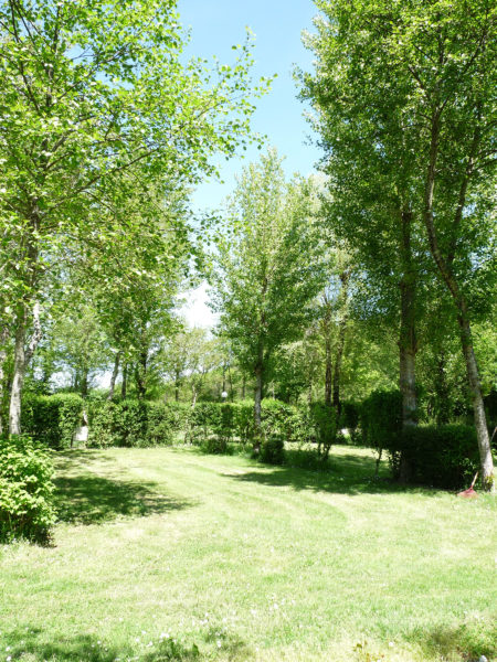 Emplacement de camping ensoleillé