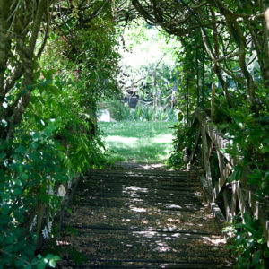 Sentier de randonnée autour du camping