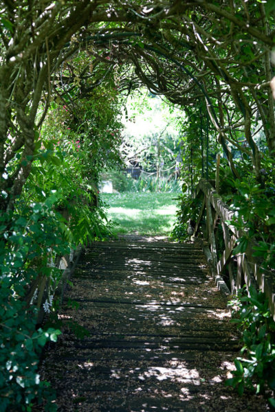 Sentier de randonnée autour du camping