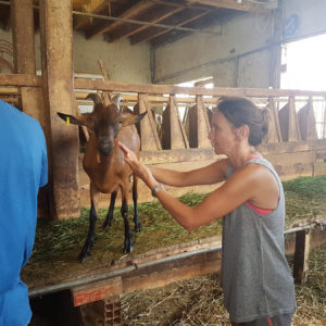 Visite à la ferme