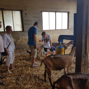 Visite de la fromagerie en Perigord