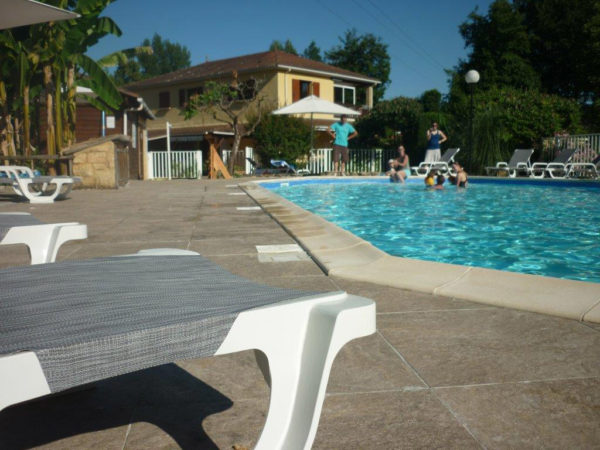 Lézarder sur les plages ensoleillées de la piscine