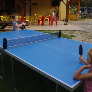 Table de ping-pong accessible pour petits et grands