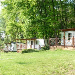 Les arbres et la nature pour les emplacements du camping