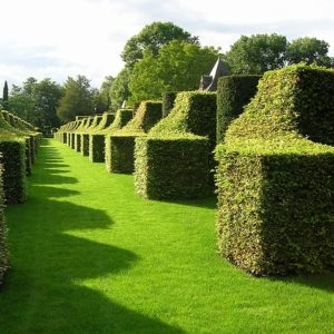 jardin dordogne printemps