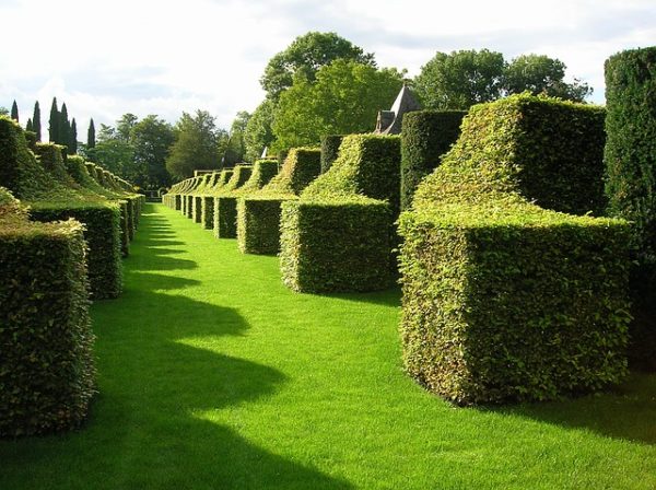 jardin dordogne printemps