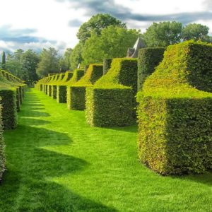 jardins Eyrignac en Dordogne